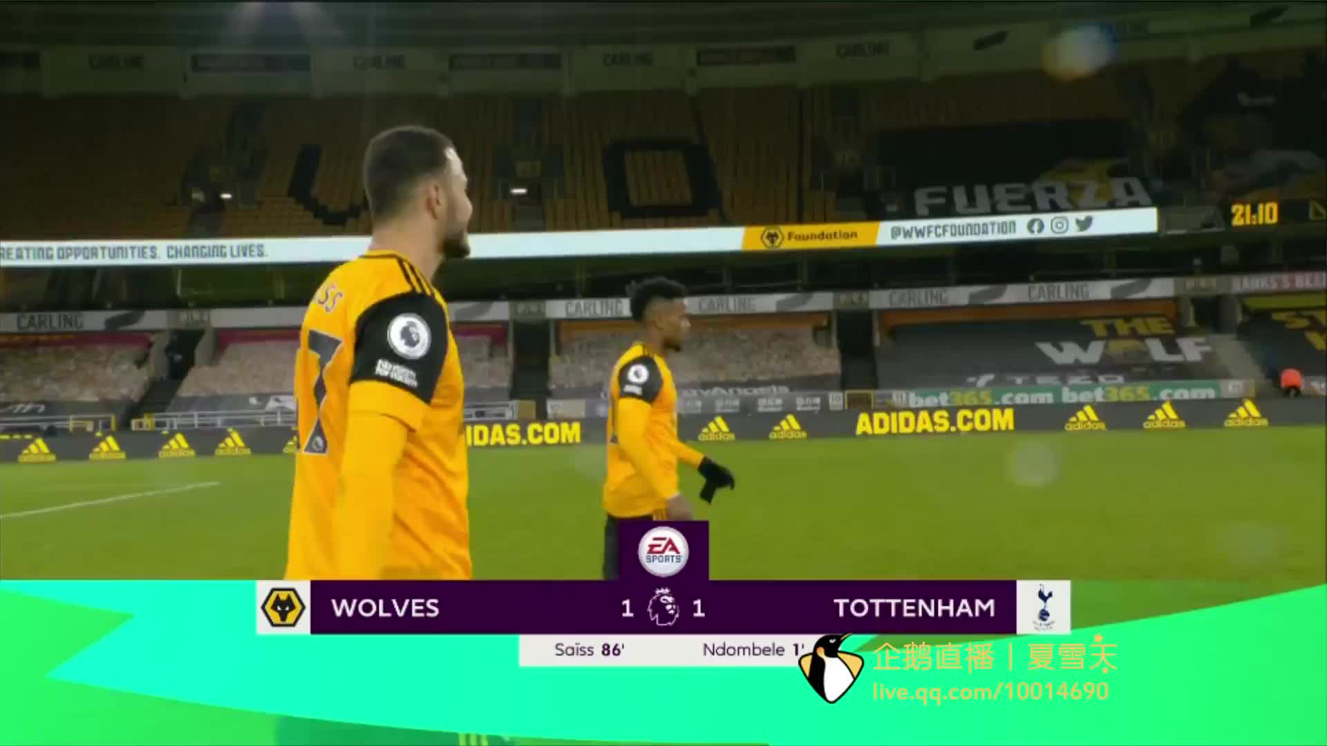 己的球员 己的球员